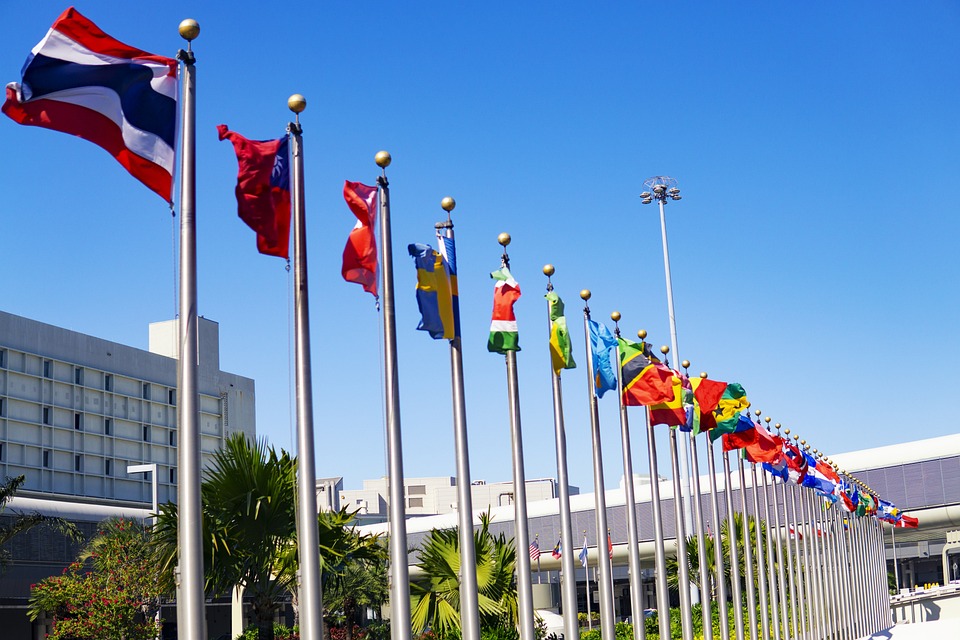 Our Services - Comprehensive Background Screening Services 8 international 5319462 960 720