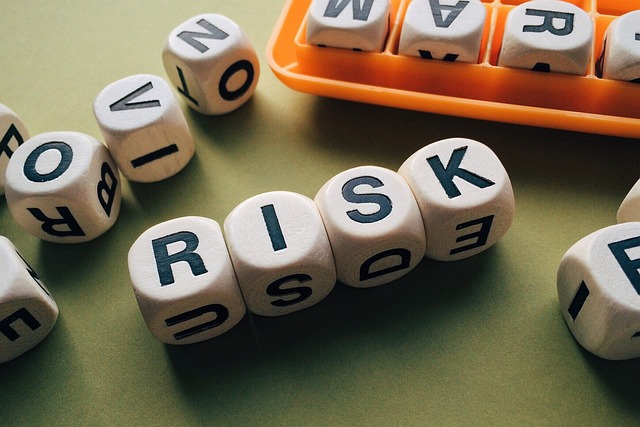 Our Services - Comprehensive Background Screening Services 11 risk 1945683 640