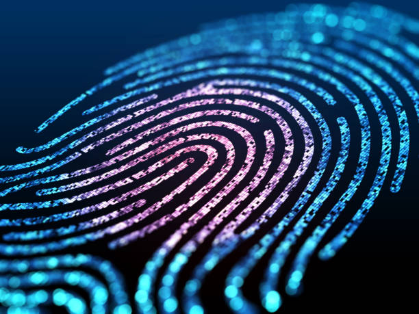 Our Services - Comprehensive Background Screening Services 19 istockphoto 913879566 612x612 1