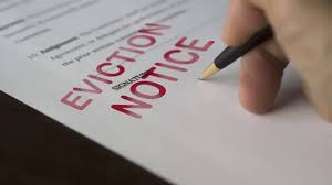 Tenant Background Checks: What Every Landlord Should Know 4 images 1 1